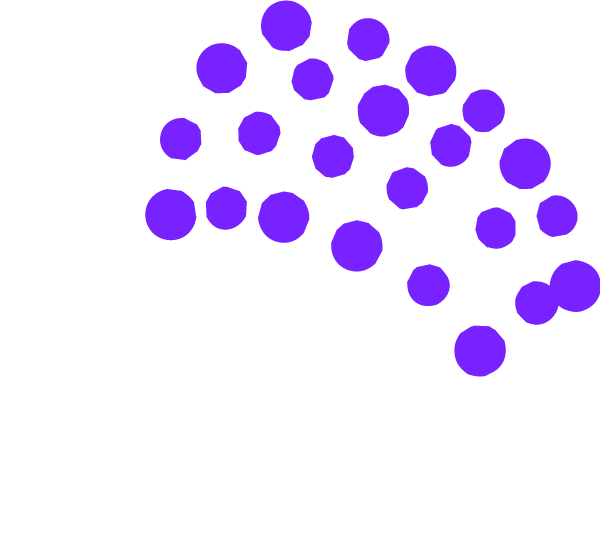 Design an optode montage